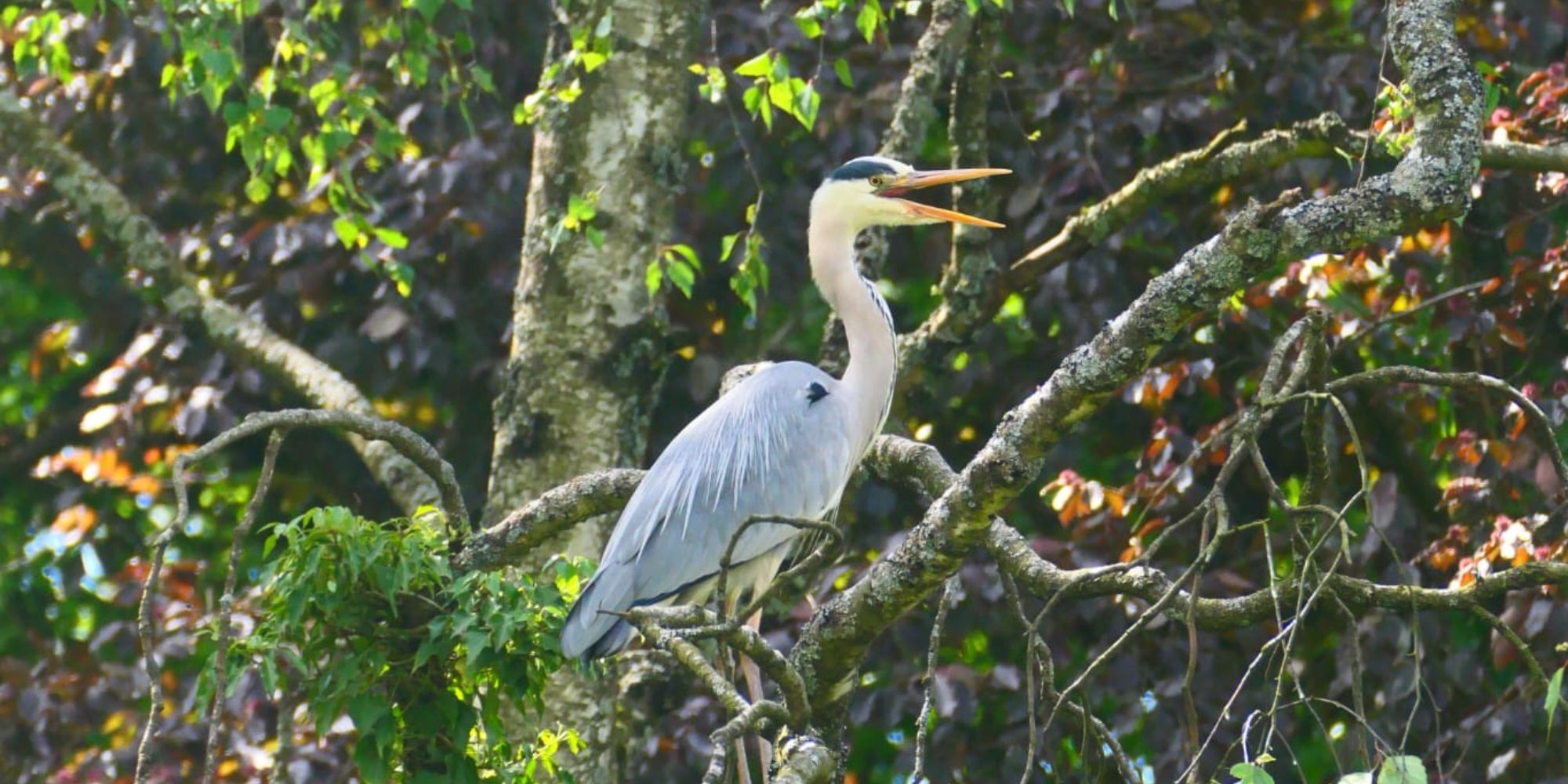 Widerspruch beim Timing
