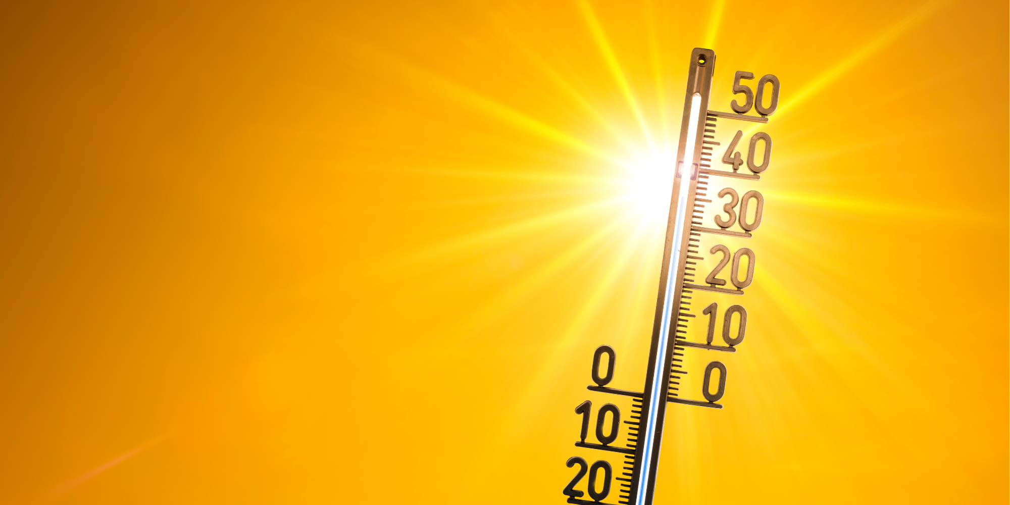 Ein Schulneubau, der Hagen krank machen wird