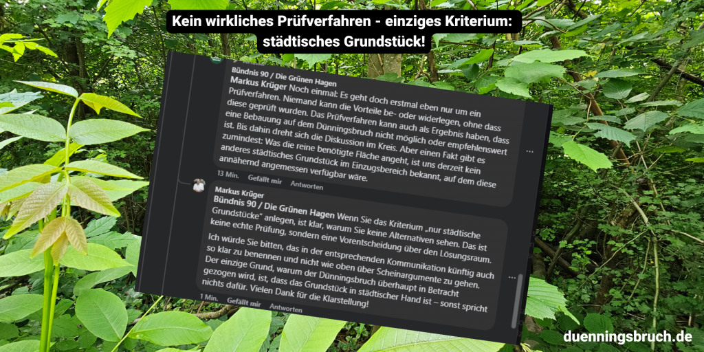 Grünen stellen klar