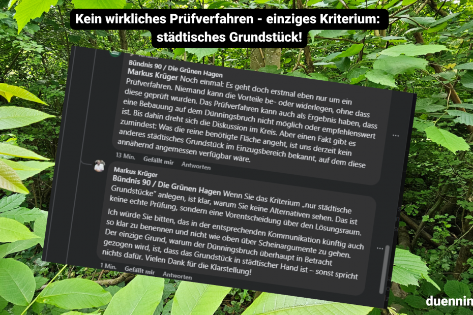 Grünen stellen klar