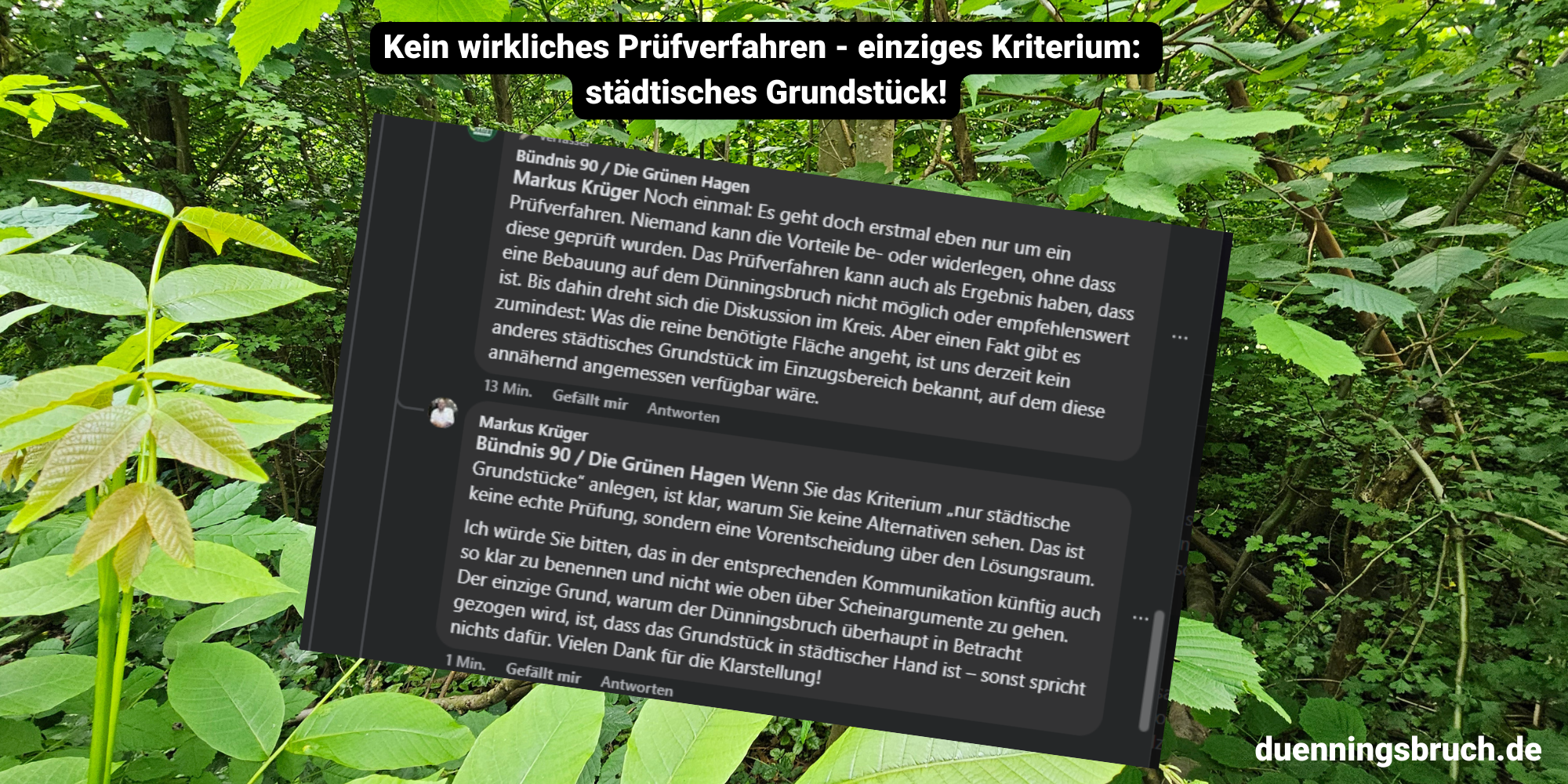 Grünen stellen klar