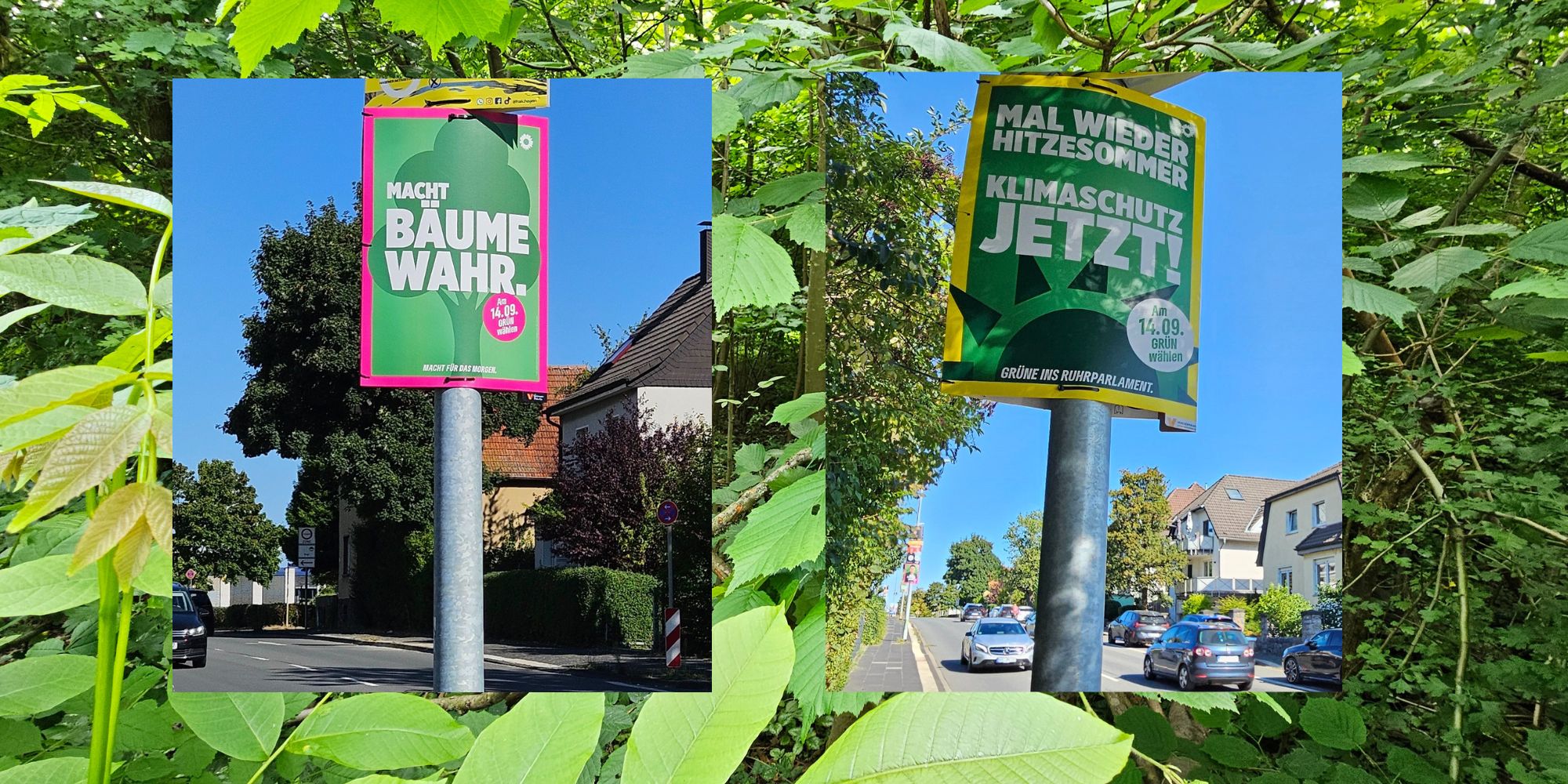 Die grüne Heuchelei in Hagen: Klimaschutz predigen, Naturzerstören beschließen