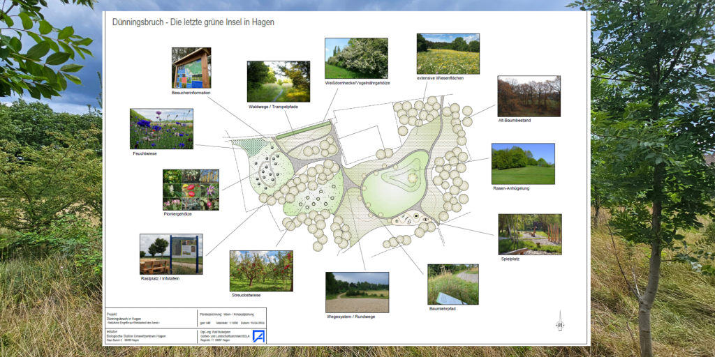 Parkkonzept Dünningsbruch