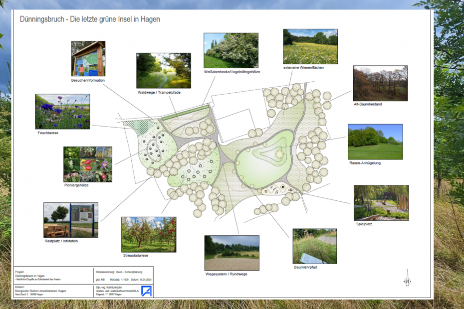 Parkkonzept Dünningsbruch