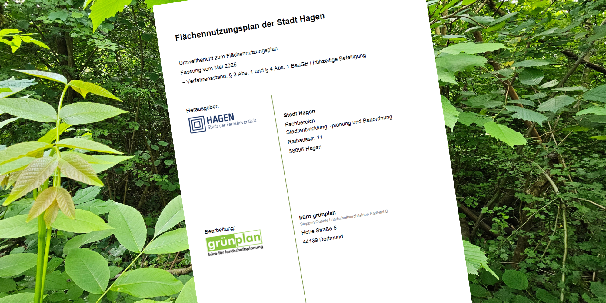 🌿 Umweltgutachten bestätigt: Bebauung am Dünningsbruch wäre ein ökologisch maximaler Eingriff