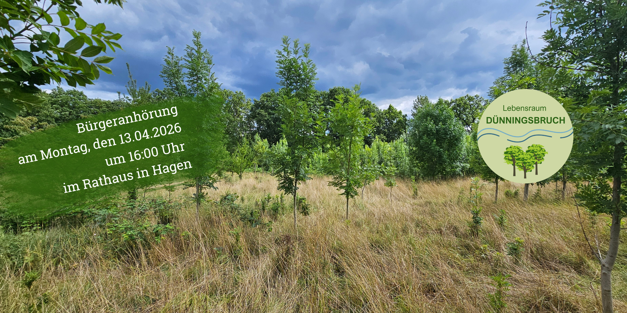 Bürgerbeteiligung im Dünningsbruch